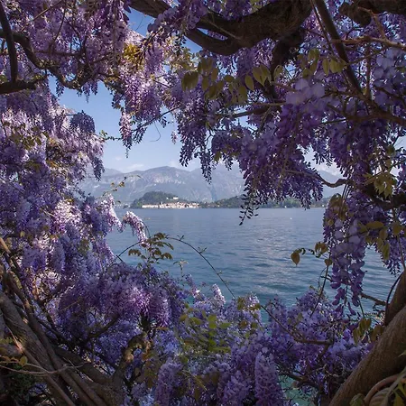 Nobiallo Fantastico *