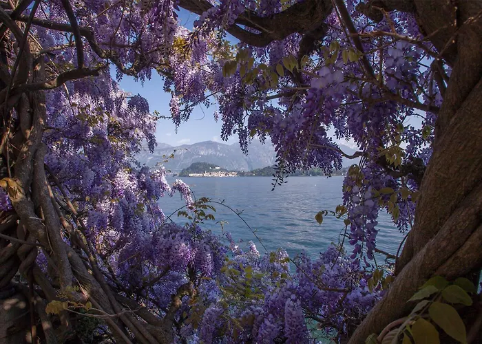 Nobiallo Fantastico *